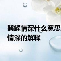鹣鲽情深什么意思 鹣鲽情深的解释