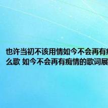 也许当初不该用情如今不会再有痴情是什么歌 如今不会再有痴情的歌词展示
