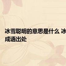 冰雪聪明的意思是什么 冰雪聪明成语出处