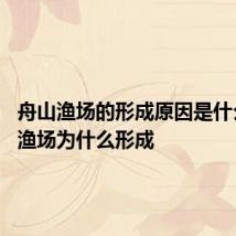 舟山渔场的形成原因是什么 舟山渔场为什么形成