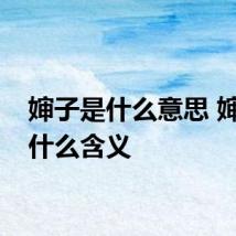 婶子是什么意思 婶子是什么含义
