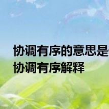 协调有序的意思是什么 协调有序解释