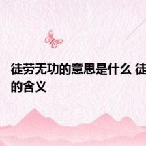 徒劳无功的意思是什么 徒劳无功的含义
