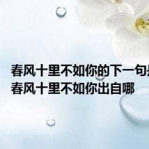 春风十里不如你的下一句是什么 春风十里不如你出自哪