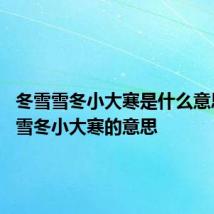 冬雪雪冬小大寒是什么意思 冬雪雪冬小大寒的意思