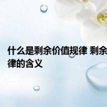 什么是剩余价值规律 剩余价值规律的含义