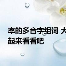 率的多音字组词 大家一起来看看吧