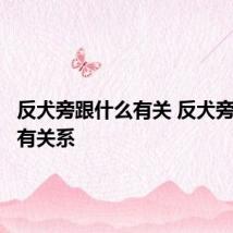 反犬旁跟什么有关 反犬旁与什么有关系