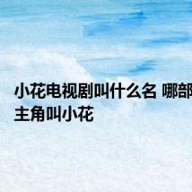 小花电视剧叫什么名 哪部电视剧主角叫小花