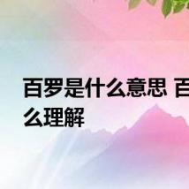 百罗是什么意思 百罗怎么理解