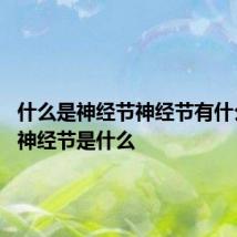 什么是神经节神经节有什么作用 神经节是什么