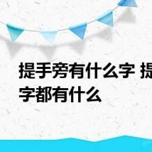 提手旁有什么字 提手旁字都有什么