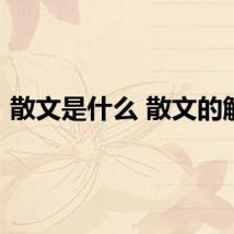 散文是什么 散文的解释