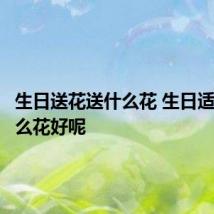 生日送花送什么花 生日适合送什么花好呢