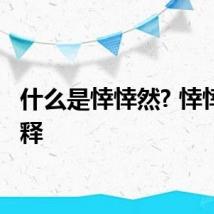 什么是悻悻然? 悻悻然解释