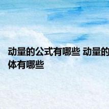 动量的公式有哪些 动量的公式具体有哪些