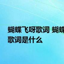 蝴蝶飞呀歌词 蝴蝶飞呀歌词是什么