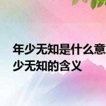 年少无知是什么意思 年少无知的含义