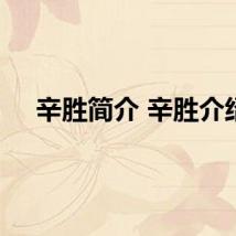 辛胜简介 辛胜介绍