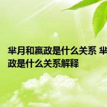 芈月和嬴政是什么关系 芈月和嬴政是什么关系解释
