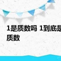 1是质数吗 1到底是不是质数