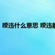 暌违什么意思 暌违解释