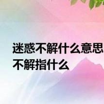 迷惑不解什么意思 迷惑不解指什么