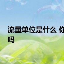 流量单位是什么 你懂了吗