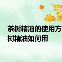 茶树精油的使用方法 茶树精油如何用