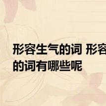 形容生气的词 形容生气的词有哪些呢