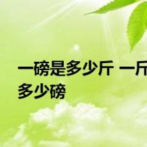 一磅是多少斤 一斤等于多少磅