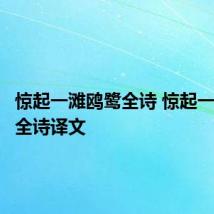 惊起一滩鸥鹭全诗 惊起一滩鸥鹭全诗译文