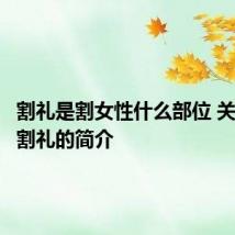 割礼是割女性什么部位 关于女性割礼的简介