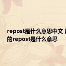repost是什么意思中文 网络上的repost是什么意思