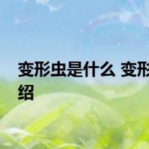 变形虫是什么 变形虫介绍