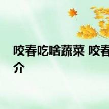 咬春吃啥蔬菜 咬春的简介