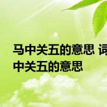 马中关五的意思 词语马中关五的意思