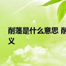削藩是什么意思 削藩含义