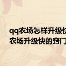 qq农场怎样升级快 qq农场升级快的窍门