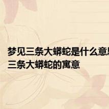 梦见三条大蟒蛇是什么意思 梦见三条大蟒蛇的寓意