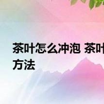 茶叶怎么冲泡 茶叶冲泡方法