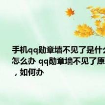 手机qq勋章墙不见了是什么原因?怎么办 qq勋章墙不见了原因是什么,如何办