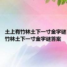 土上有竹林土下一寸金字谜 土上有竹林土下一寸金字谜答案