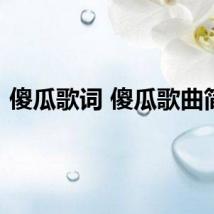 傻瓜歌词 傻瓜歌曲简介