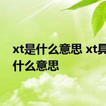 xt是什么意思 xt具体是什么意思