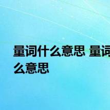 量词什么意思 量词是什么意思