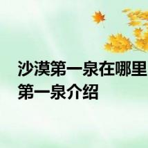 沙漠第一泉在哪里 沙漠第一泉介绍
