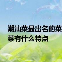 潮汕菜最出名的菜 潮汕菜有什么特点