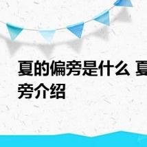 夏的偏旁是什么 夏的偏旁介绍