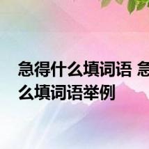 急得什么填词语 急得什么填词语举例